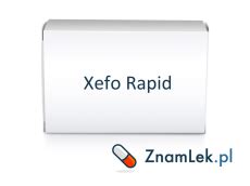 xefo rapid opinie.